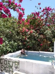 Maison du Bonheur costaricienne sur la plage avec bassin de rafraichissement - Parrita