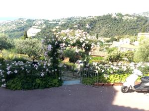 Maisons d'hotes Room in Apartment - Beautiful F1 standing swimming pool, view : photos des chambres