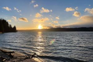 Tahuya Trees and Tides