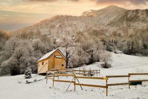 Maisons de vacances Cab'anes du Pibeste : photos des chambres