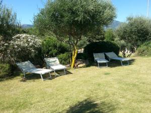 Hotel Giardino Corte Rubja