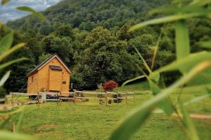 Maisons de vacances Cab'anes du Pibeste : photos des chambres