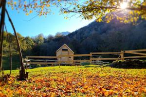 Maisons de vacances Cab'anes du Pibeste : photos des chambres