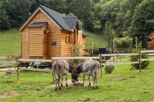 Maisons de vacances Cab'anes du Pibeste : photos des chambres