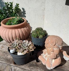 B&B / Chambres d'hotes Jolie petite suite Cote d'Azur. : photos des chambres