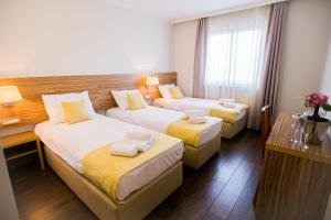 Standard Triple Room room in Hotel Luna