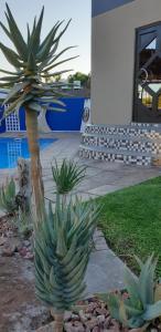 Aloe View Guesthouse
