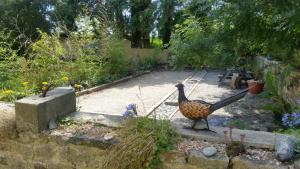 B&B / Chambres d'hotes Ty Gorre Ker Studio Rooms : photos des chambres
