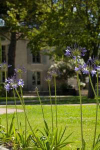 Hotels Benvengudo : photos des chambres