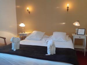 Hotels Hotel du Chateau : photos des chambres