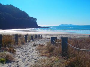 In the Heart of the Beach