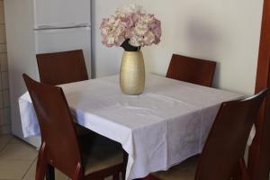 Bledis Cozy Apartment in New Blvd