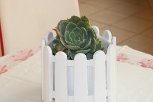 Bledis Cozy Apartment in New Blvd