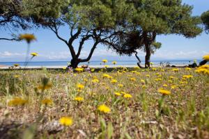 Daphne's Club Hotel Apartments Korinthia Greece