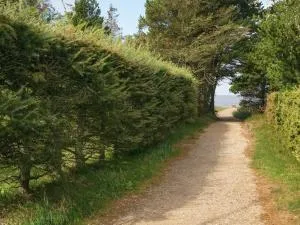 Seaside Serenity at Skaven Strand-By Traum - Skjern
