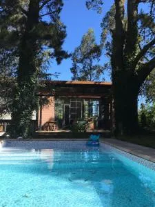 El bosque serrano - Batán