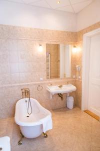 Zamek Hradek u Susice