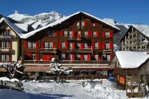 Swiss Lodge Hotel Bernerhof - 施特歇尔贝格