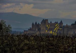 Appartements Appartement spacieux a Carcassonne 48 m² avec parking : photos des chambres