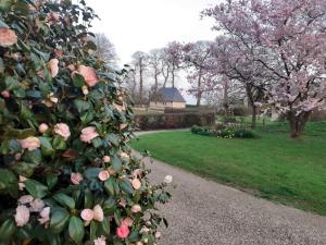 Maisons de vacances Gites Normands de charme les chataigniers : photos des chambres