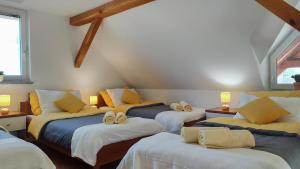 Apartments Vinska Trta near Terme Čatež Family Stay