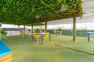 Hotel Plataneras Plaza