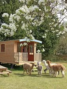 Roulottes Les Alpaguettes - Corme-Écluse