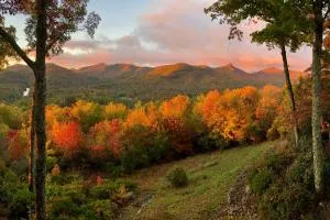 Sapphire Retreat with Views, Fire Pit, and Lake Access - Lake Toxaway