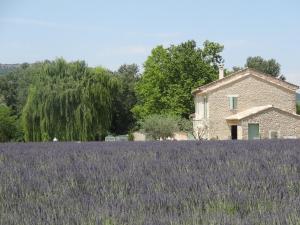 Villas Le Mas Fanny : photos des chambres