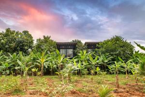 Atha Resort