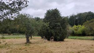Maisons de vacances Le Champ des Fougeres : photos des chambres