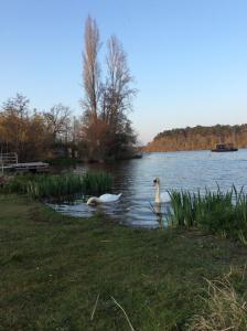 Maisons de vacances Logement Climatise Erdre Riviere : photos des chambres