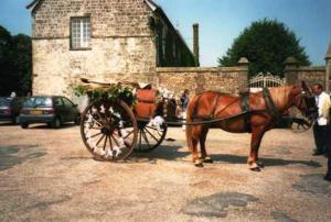 Maisons de vacances au fer a Cheval : photos des chambres