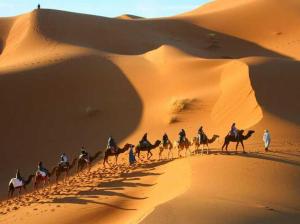 obrázek - Camel Trekking Camp