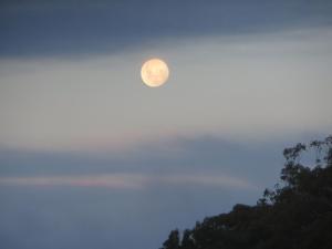 Eildon Parkview Motor Inn Room 5