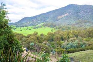 Eildon Parkview Motor Inn Room 5