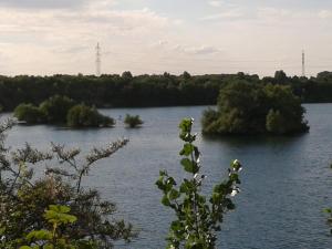 Double or Twin Room with Shared Bathroom room in B&B am See Köln