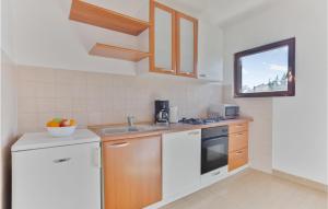 Awesome Apartment In Petrcane With Wifi And 1 Bedrooms