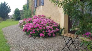 Appartements Le Peyroutet : photos des chambres