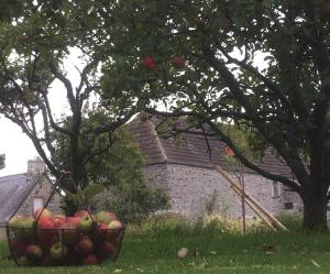 B&B / Chambres d'hotes A la Ferme de Saint Germain : photos des chambres