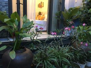 Cherry Garden Homestay