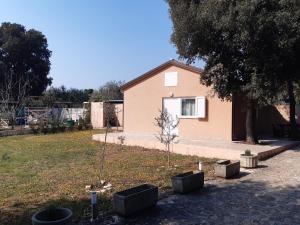 LAVE II cozy house