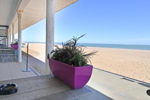 Spacious Designer 2BR Executive Apt, Near Beach & Marina, Central Location