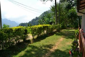 Ella Infinity View