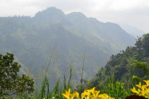 Ella Infinity View