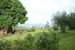 Villa Selva
