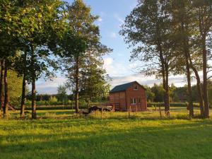 JEZIORAKI Uroczy domek i sauna 400m od jeziora Nowa Jedlanka