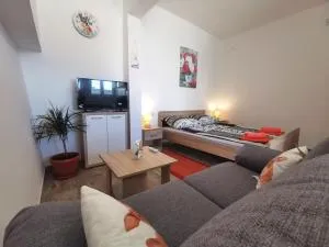 Studio Apartment Mini Dora - Novi Stafilić