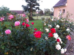 Maisons de vacances Le Clos des Roses : photos des chambres