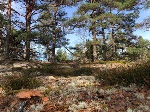 Mysig och modern Stuga på Snögård, nära havet och naturen